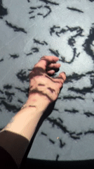 Interactive art installation draws visitor engagement in Sofia gallery