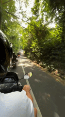 Morning motorcycle commute captured on tree-lined road in Kediri