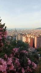 Barcelona skyline at sunrise, Sagrada Família front and center