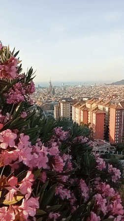 Barcelona skyline at sunrise, Sagrada Família front and center