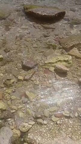 The video shows a shallow, clear body of water with a rocky seabed. Several large, dark, conical objects, possibly concrete breakwaters, are partially submerged in the water, with one of them in the foreground. The water is calm, and sunlight glints off its surface. The seabed is covered in a variety of stones and pebbles, with some greenish algae growing on some of the rocks. The background reveals a vast expanse of the sea under a bright, partly cloudy sky, suggesting it is a sunny day. The scene is serene and natural, evoking a sense of peace and tranquility. There are no people visible in the video, and no text is present. The location context provided is Osenovo, Bulgaria. The time of day appears to be daytime, given the bright sunlight.