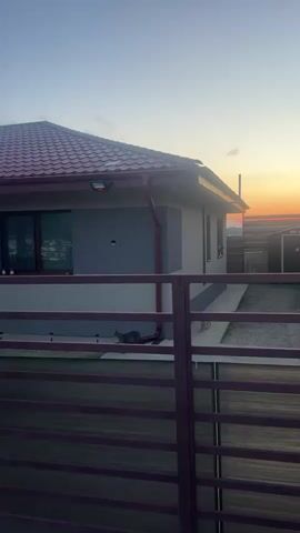 The video shows a view of a house with a red tiled roof during what appears to be sunset. The house is painted in two tones, gray and white. A purple metal fence is in the foreground. There are two cats visible near the house, one is gray and the other is white. The sky is clear with orange and pink hues indicating sunset.
