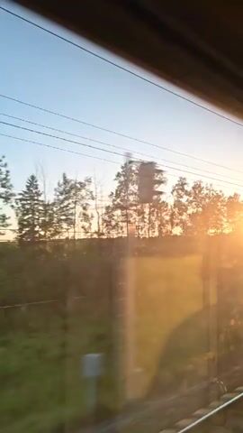 The video shows a view from a train window looking out at a landscape during sunset. The sun is low on the horizon, casting a warm golden light across the scene. Trees and vegetation are visible in the foreground and middle ground, silhouetted against the bright sky. Power lines run horizontally across the upper portion of the frame. The train appears to be moving, as evidenced by the slight blur and the changing perspective of the landscape.