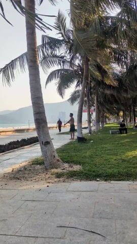 The video shows a coastal scene with palm trees, a paved walkway, and a view of a beach and city buildings in the distance. A man is exercising shirtless, near the base of a palm tree, while another man walks along the walkway. A person is sitting on a bench further down the path. The weather appears sunny and pleasant.