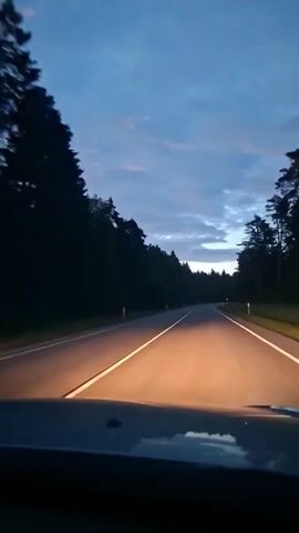 The video shows a view from inside a vehicle driving on a paved road at dusk. The car's headlights illuminate the road ahead, casting a warm glow on the asphalt. The road is bordered by dark trees on both sides, creating a tunnel-like effect. The sky above is a deep blue, with streaks of pale pink and orange clouds, indicating the sun is setting or has recently set. The road appears to be a two-lane highway with white lines marking the lanes and reflective markers along the sides. The perspective is from the driver's seat, looking forward through the windshield.