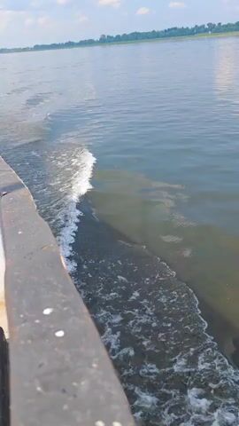 The video shows a side view of a body of water from a moving vessel. The water is calm with a few small waves breaking along the side of the vessel, creating a white foam. The horizon is visible in the distance with trees and a cloudy sky. The vessel's railing is partially visible in the foreground. The scene is outdoors in daylight.
