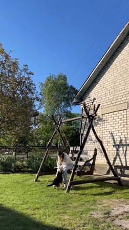 Morning life captured in Ukrainian village: pets, wildlife, residents