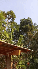 Everyday life at a rural household in Jatipurno, Indonesia
