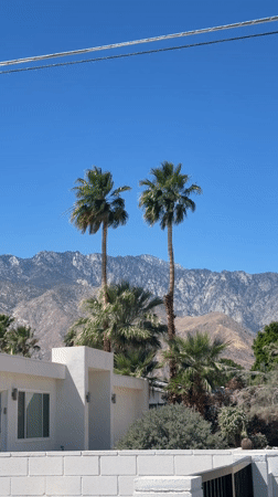 Clear evening scene documented in Palm Springs desert landscape