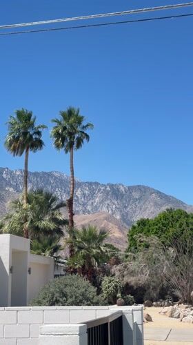 Clear evening scene documented in Palm Springs desert landscape