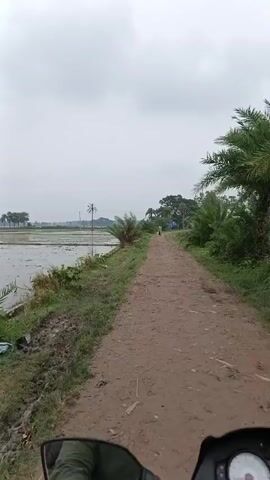 A first-person perspective video shows a dirt path with a muddy field of water to the left, and lush green vegetation and palm trees to the right. The sky is overcast with clouds. A person is visible in the distance on the path, appearing to be walking or cycling. Part of a motorcycle is visible in the foreground, indicating the video is being recorded from a moving vehicle. The scene appears to be rural.
