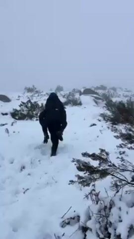 A person carries another person on their back while walking through a snowy landscape. The area is covered in snow and sparse vegetation, with rocks visible in the distance. Fog obscures the horizon. The person carrying the other person eventually falls in the snow.