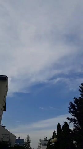 The video displays a low-angle shot of a bright blue sky with scattered white clouds. On the left side of the frame, the corner of a multi-story building is visible, its grey facade meeting the sky. On the right, the dark green branches of a tall evergreen tree extend into the frame. In the lower portion of the image, the rooftops of several smaller buildings, including some with chimneys, are visible, along with the tops of more trees. The overall impression is of an urban or suburban outdoor environment on a clear day.