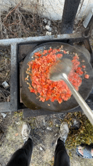 Outdoor cooking observed in rural Belarus villages