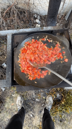 Outdoor cooking observed in rural Belarus villages