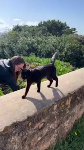 A woman crouches behind a black cat walking along a concrete wall on a bright, sunny day. The woman has long brown hair and is wearing glasses and a black jacket with white stripes on the sleeves. The cat is slender and sleek, its tail held upright as it moves. The concrete wall is weathered, with some moss growing on it. The background shows a grassy landscape with bushes and large rocks, and a distant view of a body of water with islands under a blue sky with scattered clouds. The camera remains stable, showing a mid-range shot of the scene.