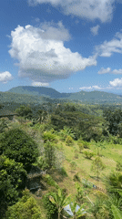 Witness captures tropical landscape views in Rendang, Indonesia