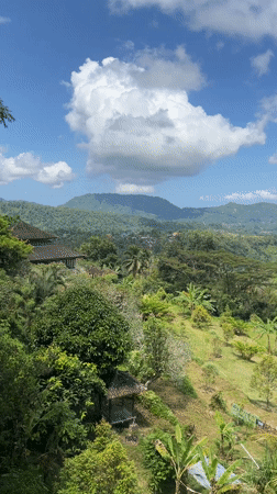 Witness captures tropical landscape views in Rendang, Indonesia