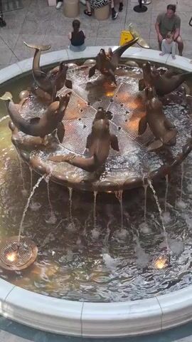 A video shows a fountain with several bronze seal statues arranged in a circle. The seals appear to be playing, with some reaching upwards and others looking downwards. The fountain is filled with water that is flowing and splashing, creating a dynamic visual effect. In the background, several people are visible, some standing and others sitting, observing the fountain. The environment appears to be an indoor public space, possibly a shopping mall or atrium, with tiled flooring and decorative elements. The lighting suggests an indoor setting.