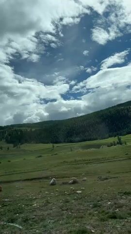 The video shows a view from a moving vehicle. The foreground is a rocky, grassy terrain. In the midground, there is a vast, green, rolling field with some trees scattered throughout. The background features a densely forested hill, and the sky is filled with dramatic, white, puffy clouds against a bright blue backdrop. The overall impression is of a natural landscape, possibly a rural or mountainous region. There are no people or discernible objects in the scene other than the natural elements and the implied vehicle. The lighting suggests it is daytime, and the sun is likely obscured by clouds, casting a soft light.