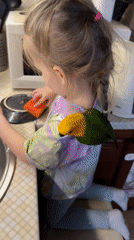 Morning household moments with pet parrot documented in Khimki