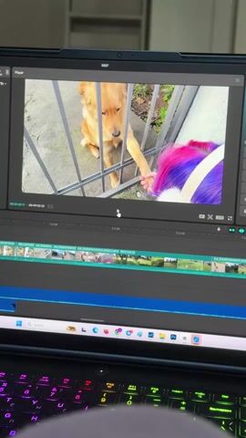 A video shows a laptop screen displaying a video editing program. The main display features a video showing a person with pink and purple hair, wearing a white jacket and earmuffs, interacting with a golden dog through a metal fence. The person is holding a white cup. The timeline below the main display shows several video clips. The laptop's keyboard is visible, with rainbow-colored backlighting. The laptop is on a table.  A glimpse of a white cabinet can be seen in the background.
