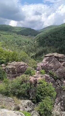 This is a vertical video of a lush green forest covering rolling hills under a cloudy sky. In the foreground, there are large rock formations and trees. The camera pans slowly across the landscape, revealing more of the dense forest and distant mountains.