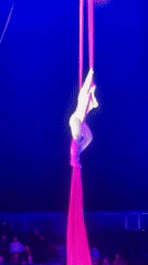 Aerial performer executes silk fabric routine in darkened venue
