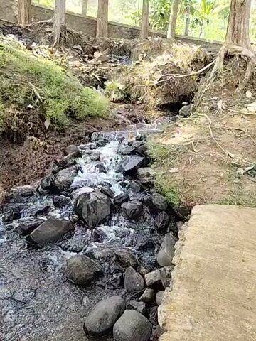 A shallow stream flows over rocks. The stream is surrounded by dirt banks with some vegetation. In the background, trees and a concrete structure are visible.