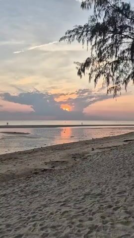 The video shows a scenic beach at sunset. The sky is filled with clouds, tinged with the colors of the setting sun.  The light reflects off the wet sand and shallow water, creating a warm glow. A tree with delicate, drooping branches frames the right side of the shot. The camera angle slowly pans backward, revealing the edge of a wooden structure with a thatched roof, suggesting the viewer is under some sort of shelter.  In the distance, several people are walking along the shore, enjoying the tranquil atmosphere.