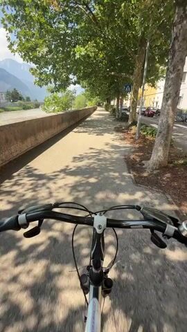 The video is a first-person perspective of someone riding a bicycle along a paved path. The path is lined with trees on the right, casting dappled shadows on the ground. Beyond the trees, there is a street with parked cars and buildings. On the left side of the path, there is a retaining wall and a body of water, possibly a river, with mountains visible in the distance. The sky is clear and blue with some clouds. The bicycle's handlebars and front wheel are visible in the foreground. There are no other people or animals clearly visible in the video. The overall impression is of a pleasant, sunny day for a bike ride in an urban or suburban environment with natural scenery nearby.