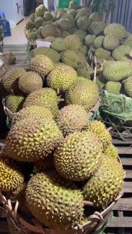 The video shows a large quantity of durian fruits piled high in baskets inside a building. The durians are green and spiky. The baskets sit on a wooden pallet. Cardboard boxes are also visible in the foreground. A refrigerator is visible in the background of the building. A person is briefly heard speaking in the background.