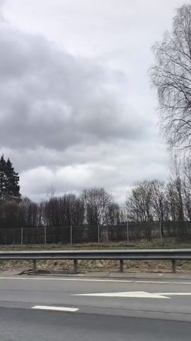 The video shows a view from a moving vehicle on a highway. A gray sky is visible overhead, filled with clouds. A metal guardrail runs along the right side of the road. Beyond the guardrail is a line of trees and bushes without leaves, separated from the highway by a wire fence. The road is paved and has white lane markings. The overall scene suggests an overcast day on a highway near a wooded area.