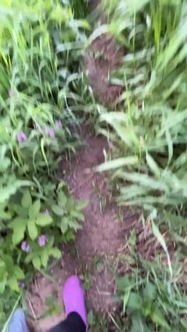 A person walks along a narrow dirt path surrounded by overgrown vegetation. The camera, presumably handheld, follows the person's legs and feet. The person is wearing dark pants, light blue pants, and purple gloves.  The path is edged with tall grasses, wildflowers, and various green plants. The footage is shaky due to the movement.