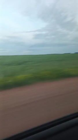 The media file captures a dynamic scene of a rural landscape, likely viewed from a moving vehicle. The foreground is dominated by a blurred dirt road, indicating movement. Beyond the road, a vast, vibrant green field stretches to the horizon, its texture blurred by motion, suggesting a crop like soybeans or wheat. The field is vast and appears flat, characteristic of agricultural land.

In the distance, a faint, hazy horizon line separates the field from a cloudy sky. The clouds are a mix of white and gray, suggesting an overcast or partially cloudy day, possibly in the late afternoon or early evening given the soft, diffused light. There are hints of man-made structures on the far horizon, possibly distant buildings or infrastructure like power lines, but they are indistinct due to distance and blur.

The overall mood is one of movement and the vastness of nature. The blurred effect conveys a sense of travel and passage through the landscape. There is no discernible human activity or specific objects of focus beyond the natural elements and the road. The location context of Podlubovo, Russia, implies a rural, possibly agricultural setting within that region. The weather appears to be calm, with no strong indications of rain or wind, just a typical day with cloud cover. There is no visible text in the media file.