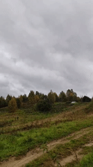 Wildflowers and overcast skies on a quiet morning in Chukhlem
