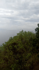 Coastal views documented from elevated position in El Tigrillo, Venezuela