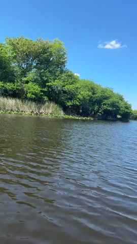 The video depicts a tranquil scene of a lake with tree-lined shores under a bright blue sky dotted with a single fluffy white cloud. The water's surface is subtly rippled, reflecting the sky above and hinting at a gentle breeze. Lush green trees densely line the edge of the lake, providing a natural border between the water and the land. The overall impression is one of calm and natural beauty.