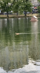Scattered morning scenes around a Moscow lakeside venue
