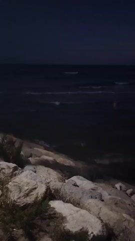 A night view of a dark sea with waves crashing on a rocky shore. Vegetation grows amongst the rocks in the foreground. The sky is a deep, dark blue. The overall lighting suggests it is nighttime or very low light conditions.
