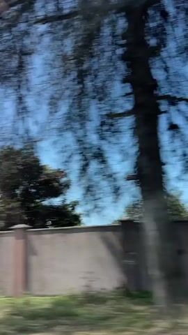 The video captures a daytime drive through a rural area under a clear blue sky, suggesting fair weather. The scene unfolds from a moving vehicle, as evidenced by the motion blur and reflections on a window.

The subjects include buildings, trees, and vehicles. In the initial frames, a white building with a light-colored roof is visible behind lush green foliage. Further along, a larger, modern white building with multiple windows and balconies comes into view, accompanied by several parked cars. A rustic wooden archway marks an entrance, leading to a fenced area. In the distance, glimpses of other structures and trees are seen.

The primary activity is travel, with the camera providing a passing view of the landscape. The time of day is clearly daytime, given the bright sunlight and clear sky. While no specific emotions are explicitly conveyed, the sunny weather and open landscape might suggest a pleasant journey. The location cues are limited, but the presence of rural architecture and vegetation points to a possibly scenic route. No visible text is discernible in the provided clips.