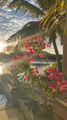 Golden hour over Seychelles marinas, sailboats at rest