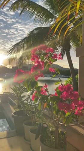 Golden hour over Seychelles marinas, sailboats at rest