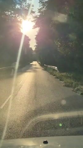 The video shows a first-person view from inside a vehicle traveling on a paved road. The sun is shining brightly through trees lining both sides of the road, creating lens flares in the footage. The road appears to be in a rural or wooded area, with guardrails visible on the right side of the road. The asphalt surface of the road is somewhat wet and reflects the sunlight. The video captures the movement of the vehicle forward, with the sun and trees forming a scenic backdrop.
