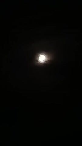 The image presents a celestial scene dominated by a bright, full or near-full moon against a pitch-black night sky. The moon, glowing intensely white, is partially veiled by translucent clouds or atmospheric haze, which creates a soft, ethereal halo around its circumference. The texture of these clouds is subtly visible as they pass in front of the lunar disk, slightly blurring its features. The deep black background indicates a very dark night, with no other stars or artificial light sources visible in the frame, emphasizing the moon as the sole focal point. The overall impression is one of serene nocturnal beauty. The time of day is clearly night, and the weather appears to be partly cloudy or hazy. No people, specific objects other than the moon and clouds, or visible text are present in the image. The provided context states the location is Lahr/Schwarzwald, Germany.