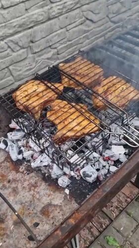 Garden life and grilling on a summer afternoon in Kharkiv