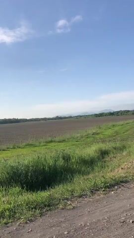 The video is a first-person perspective of a vehicle moving along a dirt road. The landscape is rural, with fields of green grass and tilled soil. In the background, there are trees and mountains. The sun is shining brightly, and the sky is blue with some clouds. The video appears to be taken during the daytime, likely in the morning or afternoon.
