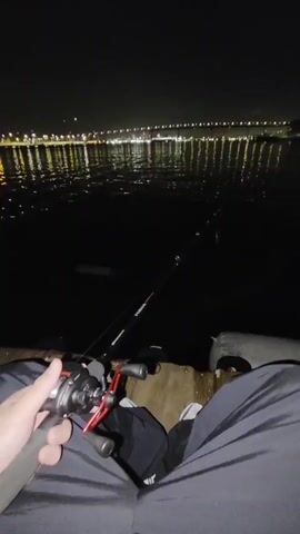 The video shows a person fishing at night from a wooden dock. The person is holding a fishing rod and reel in their hands. The water is dark, and the lights from a building and bridge are reflected on the surface. The dock appears to be slightly damaged. The night sky is clear and dark.