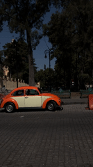 Daily life scenes documented in historic Mexico City district