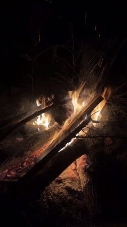 Campfire burns in rural Belarus woods at night